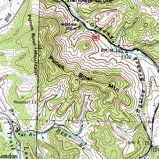 Topographic Map of Punch Bowl Mountain, TN