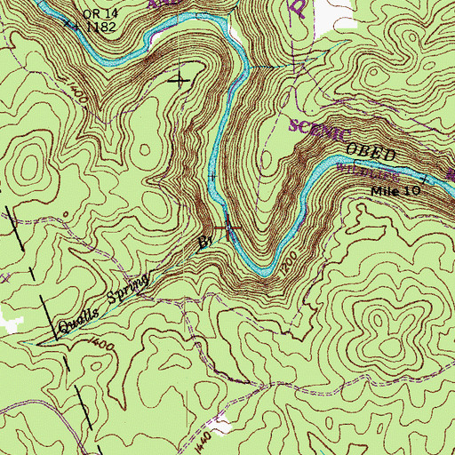 Topographic Map of Qualls Spring Branch, TN