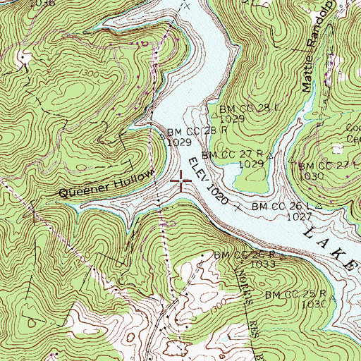 Topographic Map of Queener Hollow, TN