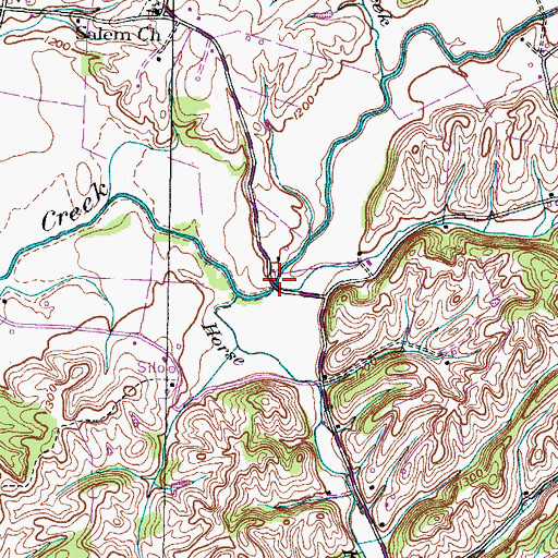 Topographic Map of Raccoon Branch, TN