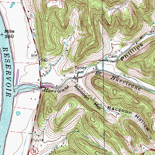 Topographic Map of Raccoon Hollow, TN