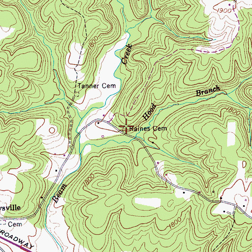 Topographic Map of Raines Cemetery, TN
