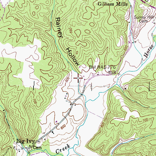 Topographic Map of Rainey Hollow, TN