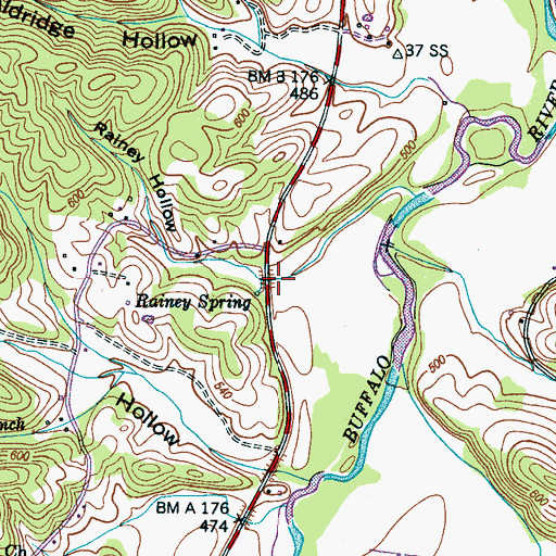 Topographic Map of Rainey Hollow, TN