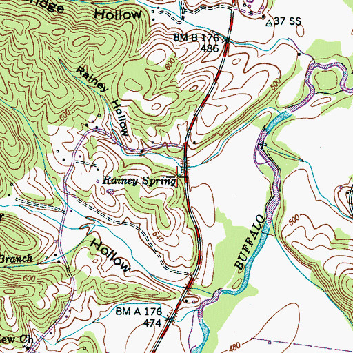 Topographic Map of Rainey Spring, TN