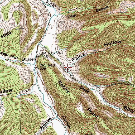 Topographic Map of Rains Hollow, TN