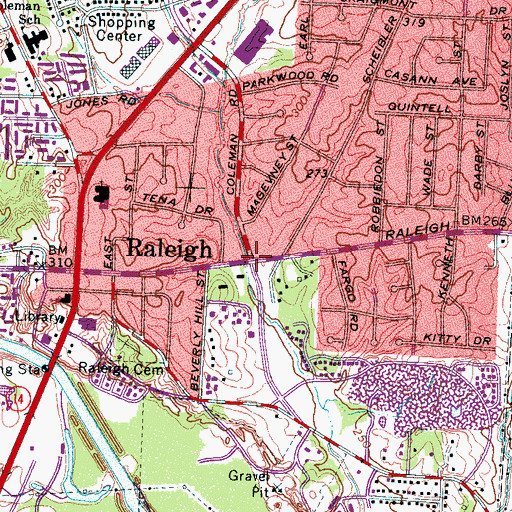 Topographic Map of Raleigh, TN