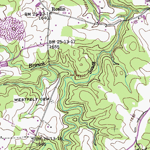 Topographic Map of Ramsey Branch, TN