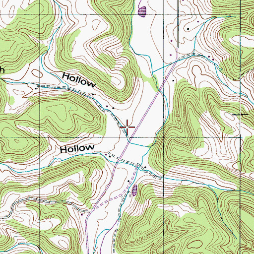 Topographic Map of Randolph Hollow, TN