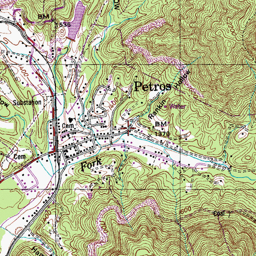 Topographic Map of Rankin Hollow, TN