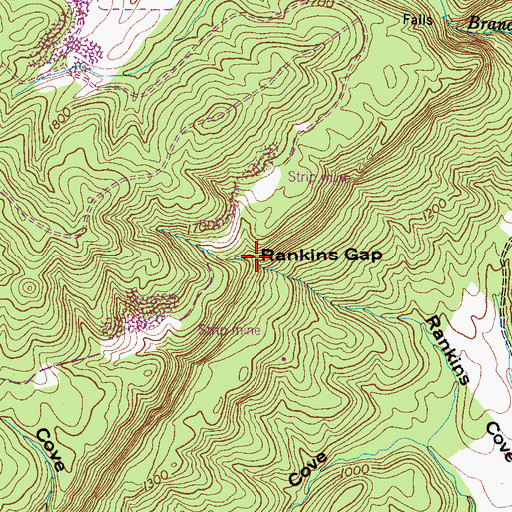 Topographic Map of Rankins Gap, TN