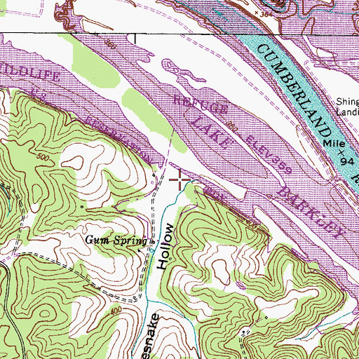 Topographic Map of Rattlesnake Hollow, TN