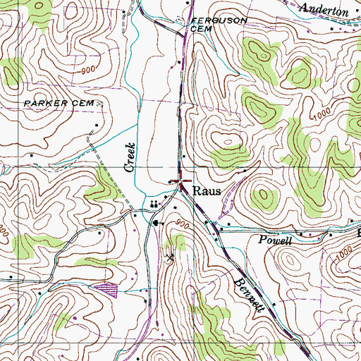 Topographic Map of Raus, TN