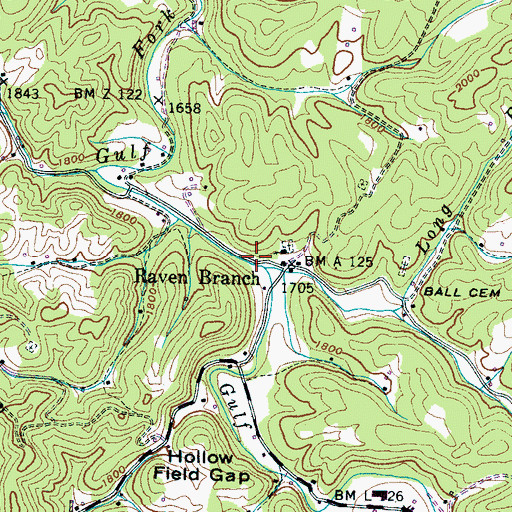 Topographic Map of Raven Branch, TN
