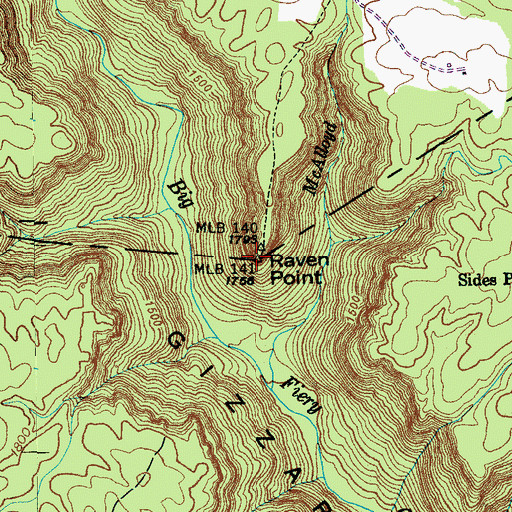 Topographic Map of Raven Point, TN