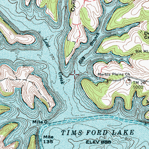 Topographic Map of Ray Branch, TN