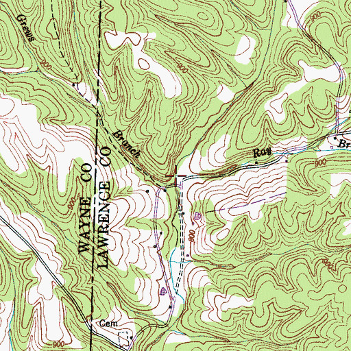 Topographic Map of Ray Branch, TN