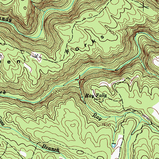 Topographic Map of Ray Branch, TN