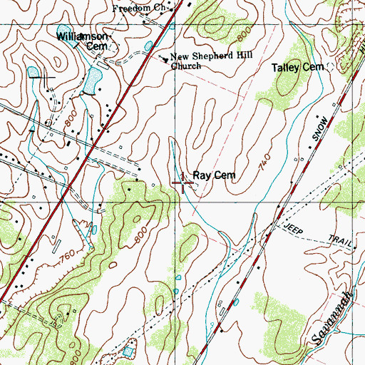 Topographic Map of Ray Cemetery, TN