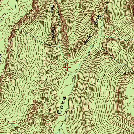 Topographic Map of Ray Cove, TN