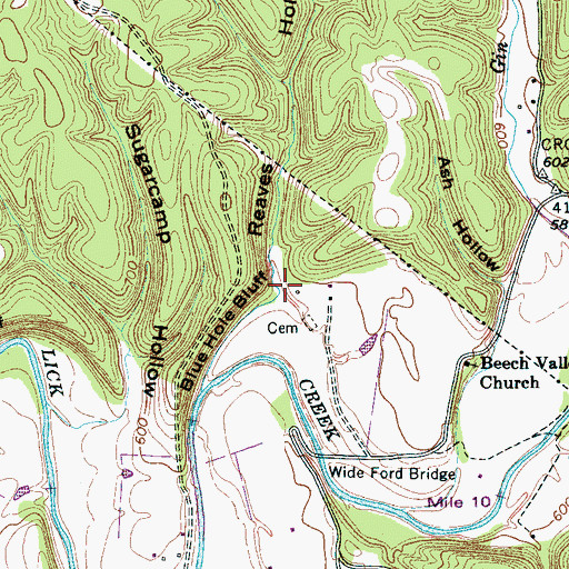 Topographic Map of Reaves Hollow, TN