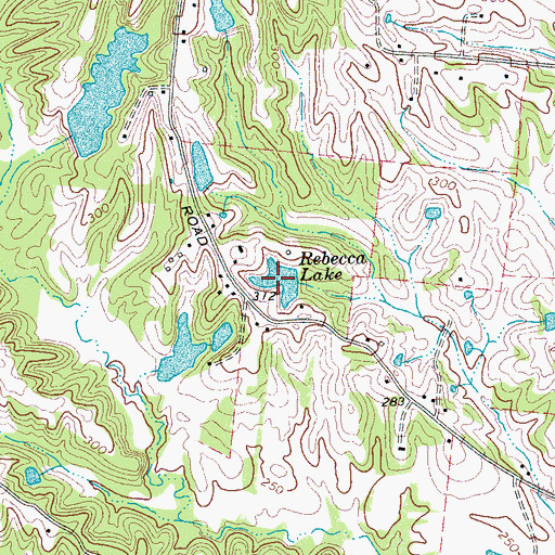Topographic Map of Rebecca Lake, TN