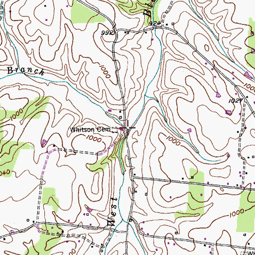 Topographic Map of Rector Branch, TN