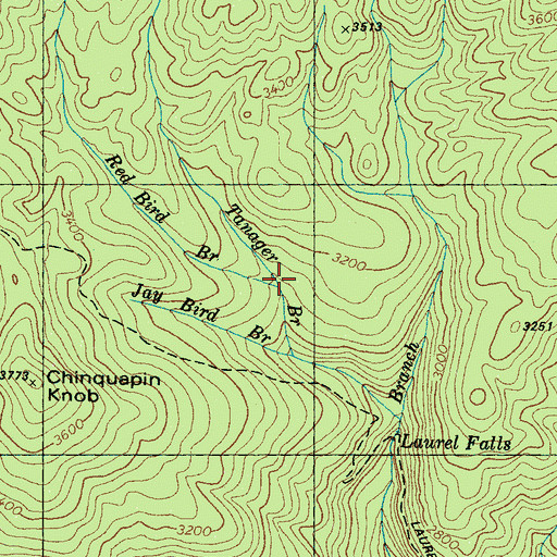 Topographic Map of Red Bird Branch, TN