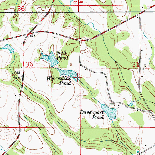 Topographic Map of Wyrosdick Pond Dam, AL