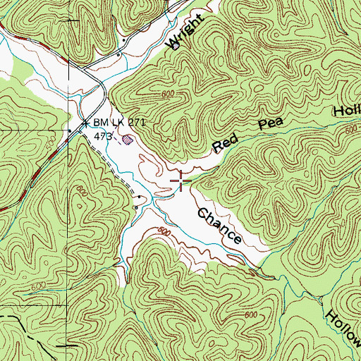 Topographic Map of Red Pea Hollow, TN