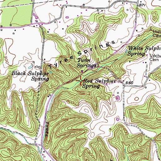 Topographic Map of Red Sulphur Spring, TN
