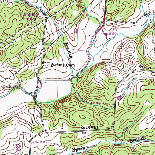 Topographic Map of Redden Branch, TN