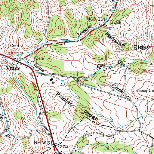 Topographic Map of Reece Branch, TN