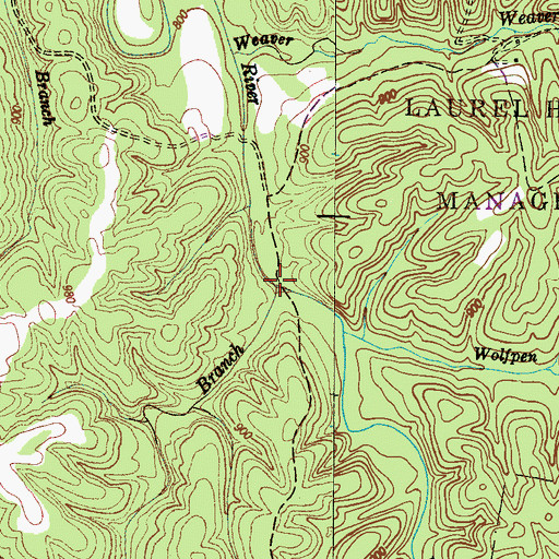 Topographic Map of Reed Branch, TN