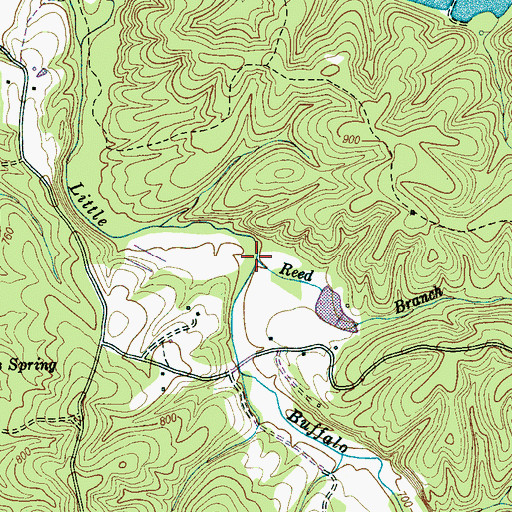 Topographic Map of Reed Branch, TN