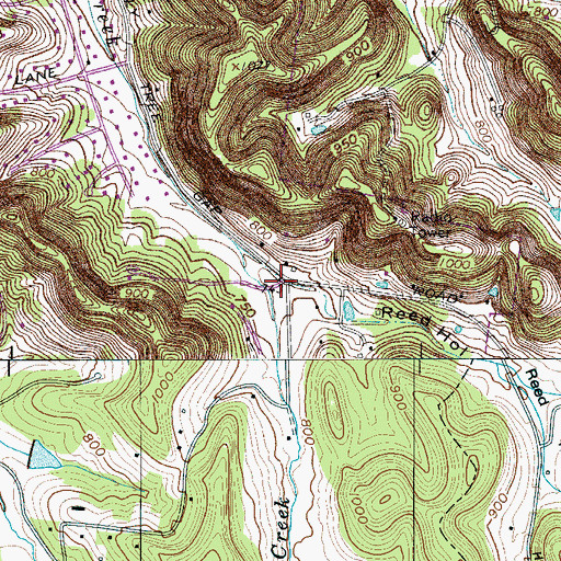 Topographic Map of Reed Hollow, TN
