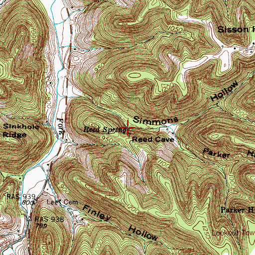 Topographic Map of Reed Spring, TN