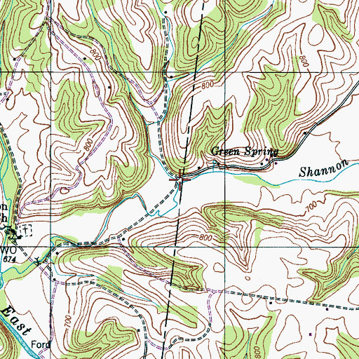 Topographic Map of Reedy Branch, TN