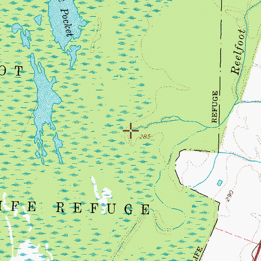 Topographic Map of Reelfoot Creek, TN