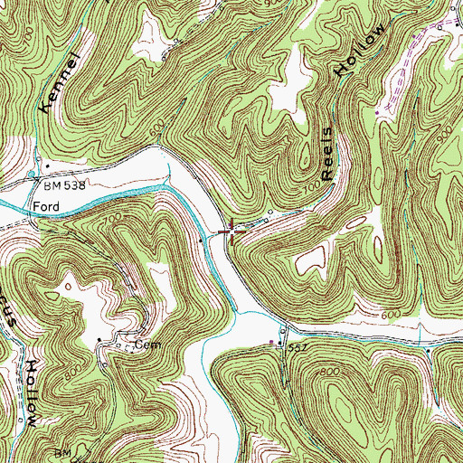 Topographic Map of Reels Hollow, TN