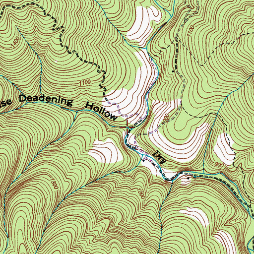 Topographic Map of Reese Deadening Hollow, TN