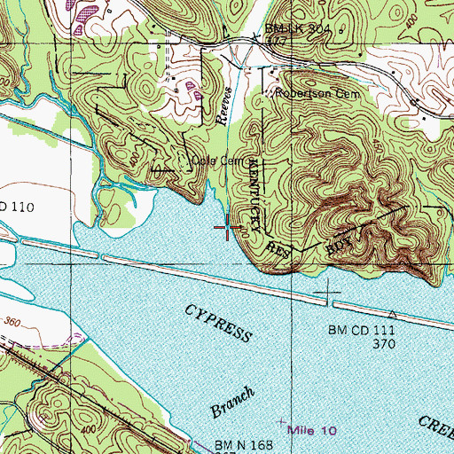 Topographic Map of Reeves Branch, TN