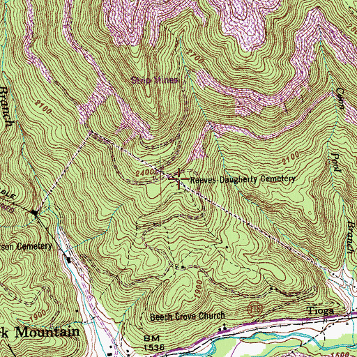 Topographic Map of Reeves-Daugherty Cemetery, TN
