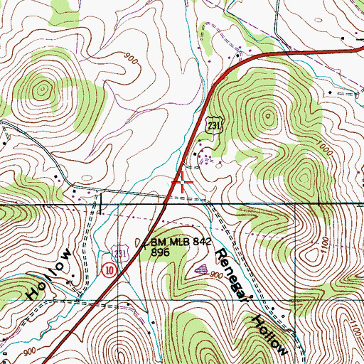 Topographic Map of Renegar Hollow, TN