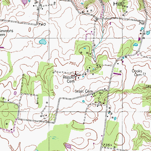 Topographic Map of Reppto Cemetery, TN