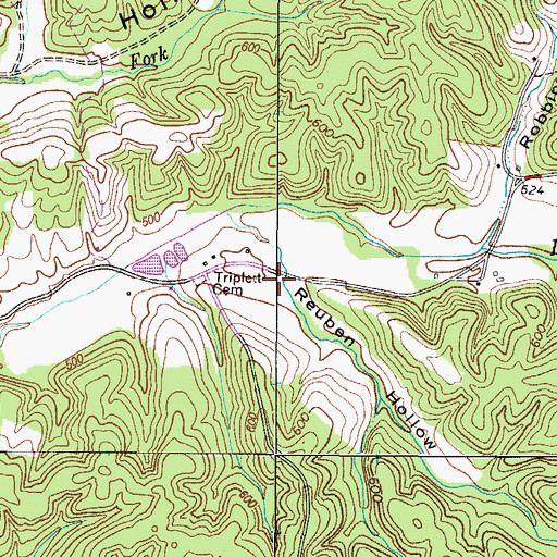 Topographic Map of Reuben Hollow, TN