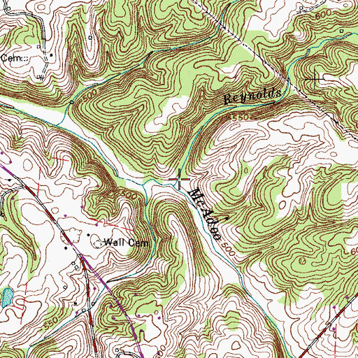 Topographic Map of Reynolds Branch, TN