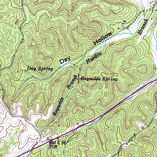 Topographic Map of Reynolds Spring, TN