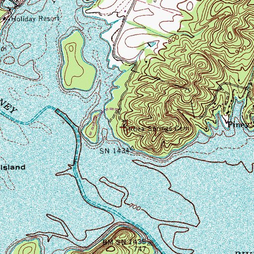 Topographic Map of Rhea Springs Cemetery, TN