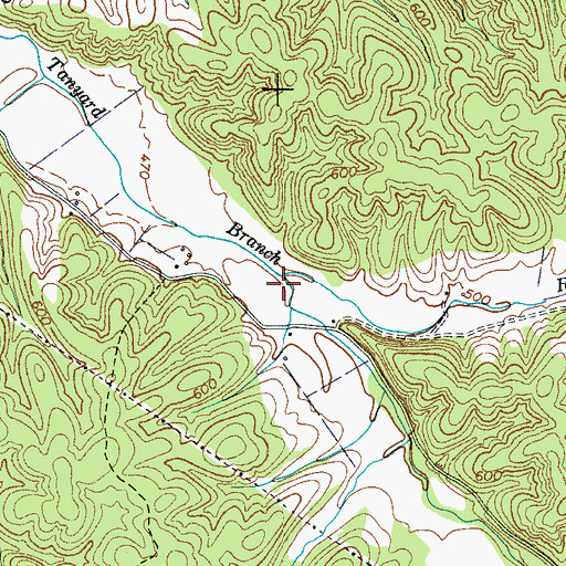 Topographic Map of Rice Branch, TN